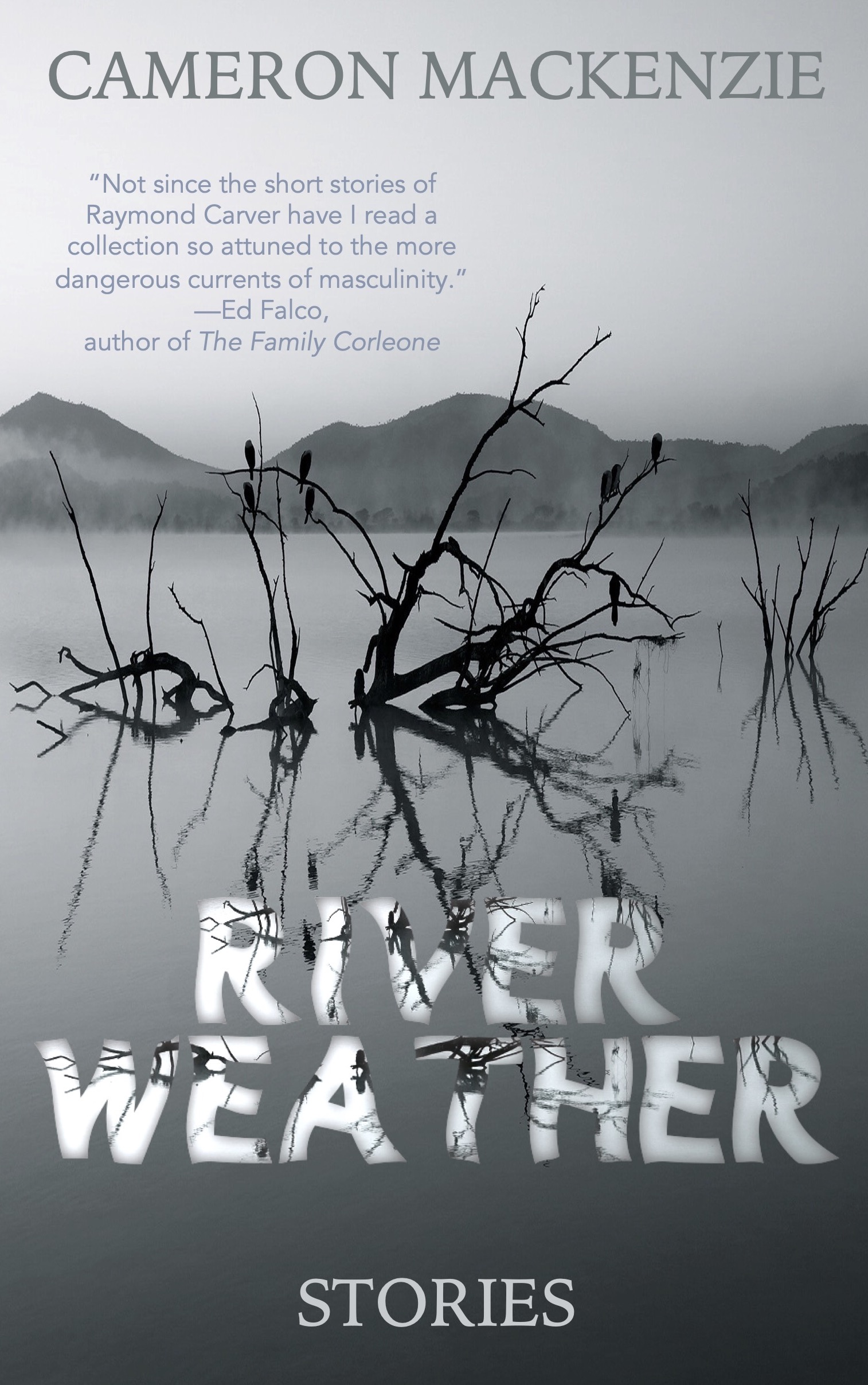 Cover of River Weather