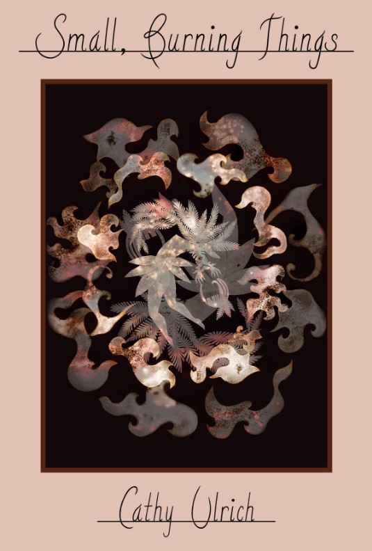 Cover of Small, Burning Things