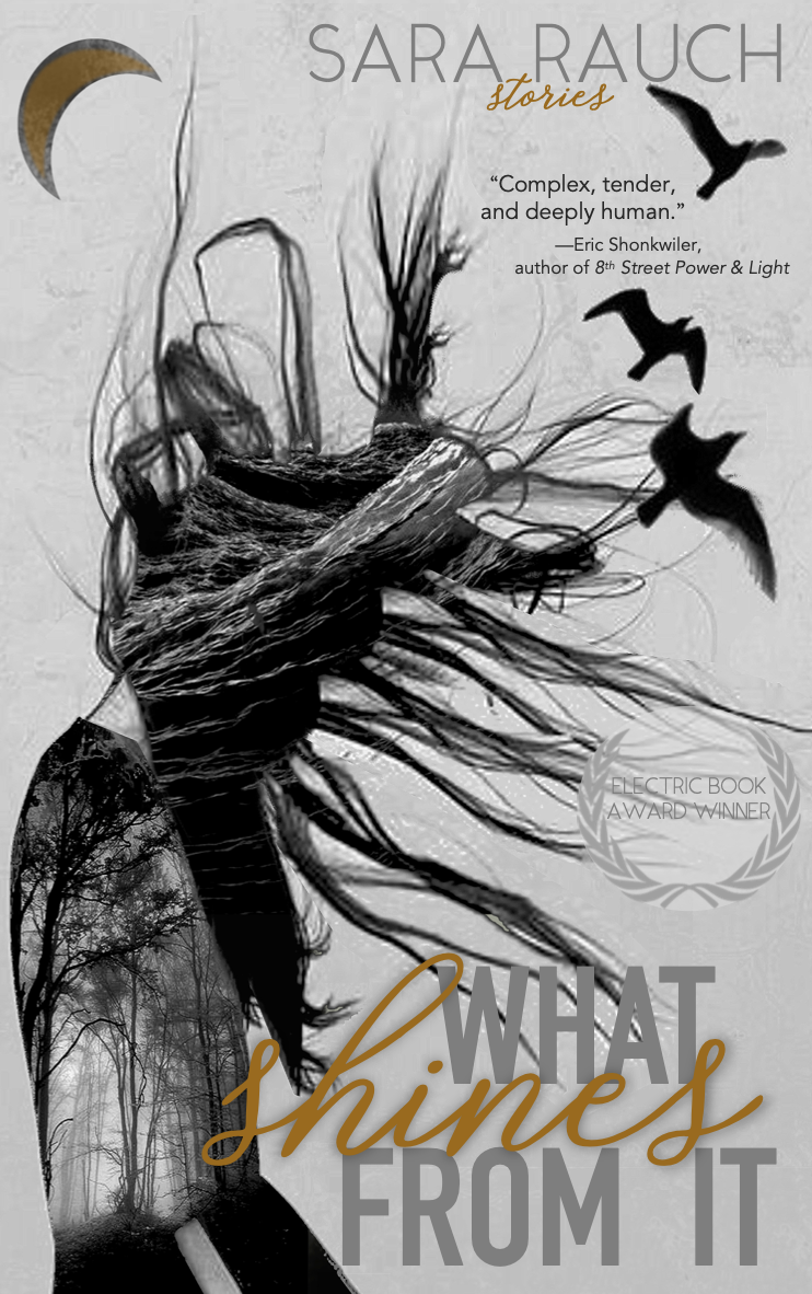 Cover of What Shines from It